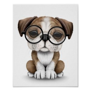 Cute English Bulldog Puppy Wearing Glasses White Poster