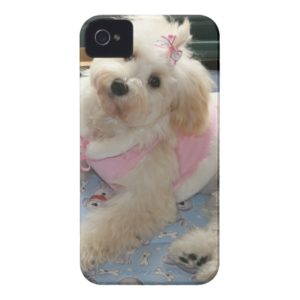 Cute Havanese Puppy Case-Mate iPhone Case