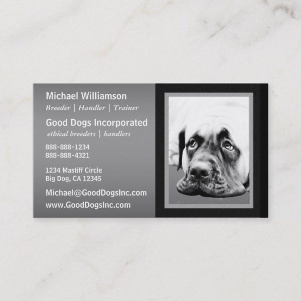 Cute Mastiff dog Business Card