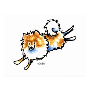 Cute Orange White Pomeranian Postcard