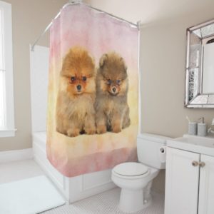 Cute Pomeranian German Spitz  Puppies Shower Curtain