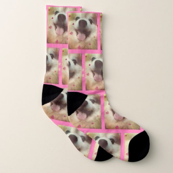 Cute Pomeranian Puppy Dog Socks