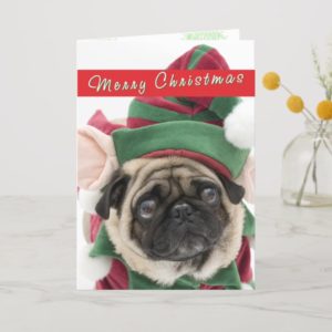 Cute Pug Christmas card