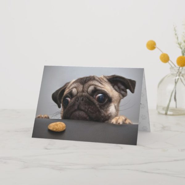 Cute Pug Dog Greeting Card