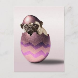 Cute Pug Easter Egg Design Holiday Postcard