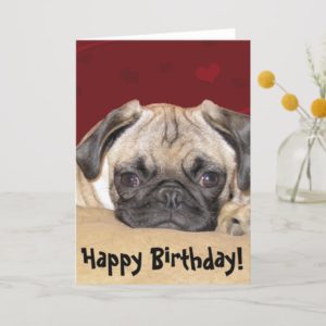 Cute Pug Puppy Birthday Wish Card