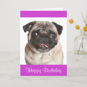 Cute Pug Puppy Dog Happy Birthday Greeting Card