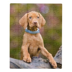 Cute puppyeyed Hungarian Vizsla Dog Puppy Photo / Jigsaw Puzzle