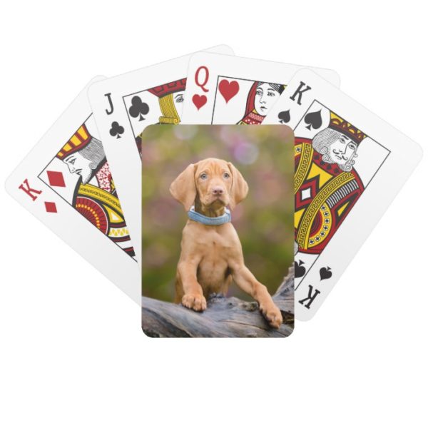 Cute puppyeyed Hungarian Vizsla Dog Puppy Photo /" Playing Cards