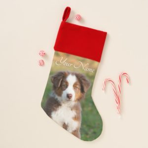 Cute Red Tri Australian Shepherd Dog Puppy - Name Christmas Stocking
