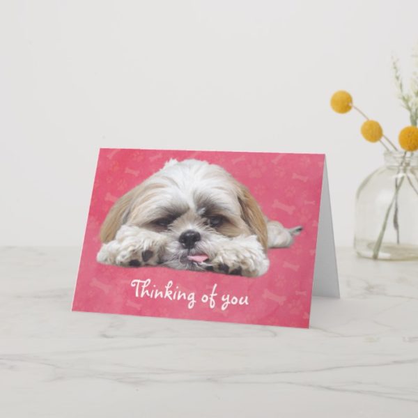 Cute Shih Tzu Puppy: Thinking of You Card