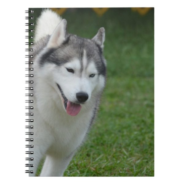 Cute Siberian Husky Notebook