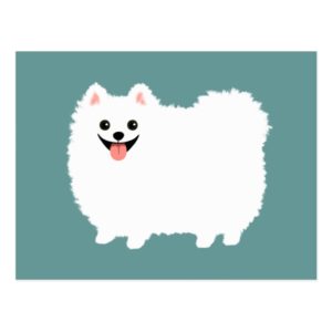 Cute White Pomeranian Postcard