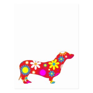 Dachshund dog funky retro floral flowers colorful postcard