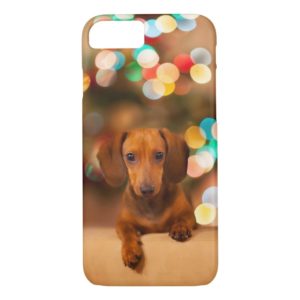 Dachshund Dog Iphone 7 Case
