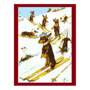 Dachshund dogs skiing vintage illustration postcard