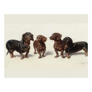 Dachshund dogs vintage art cute postcard
