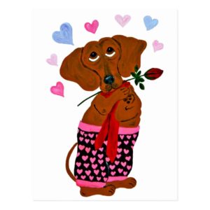Dachshund In Pink Heart Shorts Postcard