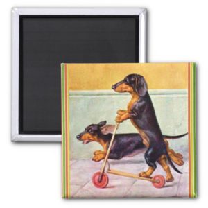 Dachshund on scooter vintage magnet