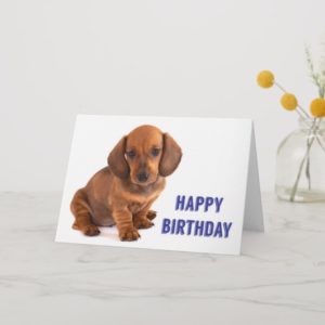 Dachshund Puppy Birthday Card