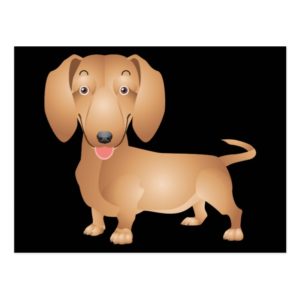 Dachshund Puppy Dog Blank Black  Postcard
