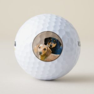 Dachshund (Smooth) Painting - Original Dog Art Golf Balls