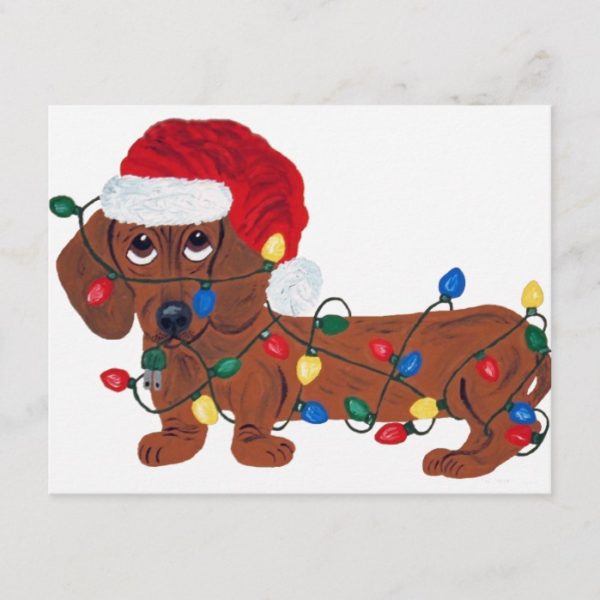 Dachshund Tangled In Christmas Lights (Red) Holiday Postcard