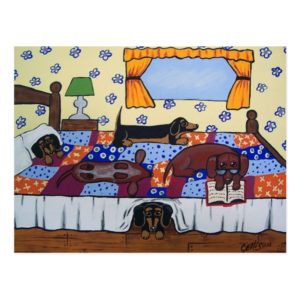 Dachshunds Bed Time Story Postcard