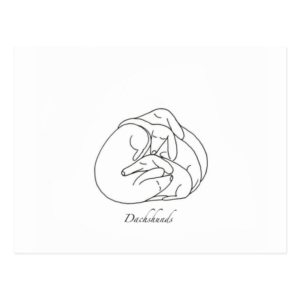 Dachshunds 'Curled Together'.jpg Postcard