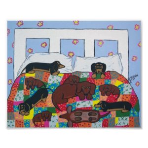 Dachshunds in Bed Poster Art