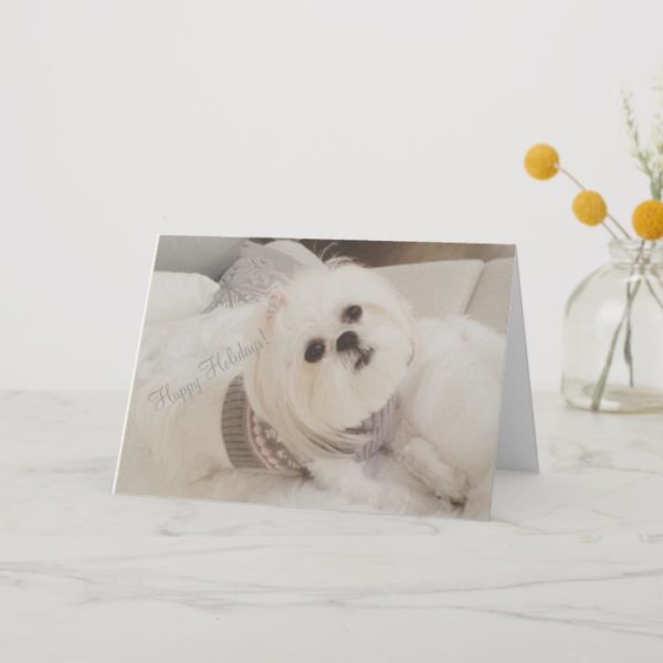 Darling Ava White Shih Tzu puppy Christmas card