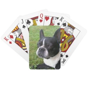deck of playing cards, with boston terrier playing cards