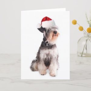 Ditzy Dogs~Original Notecard~Miniature Schnauzer Holiday Card