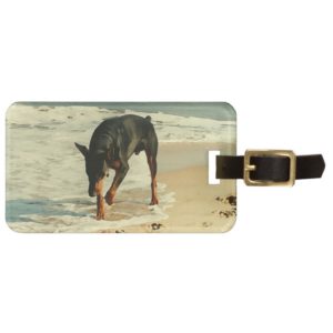 Doberman at the Beach Painting Image Luggage Tag
