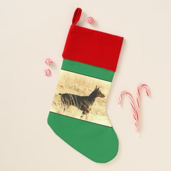 Doberman in Dry Reeds Painting Image Christmas Stocking