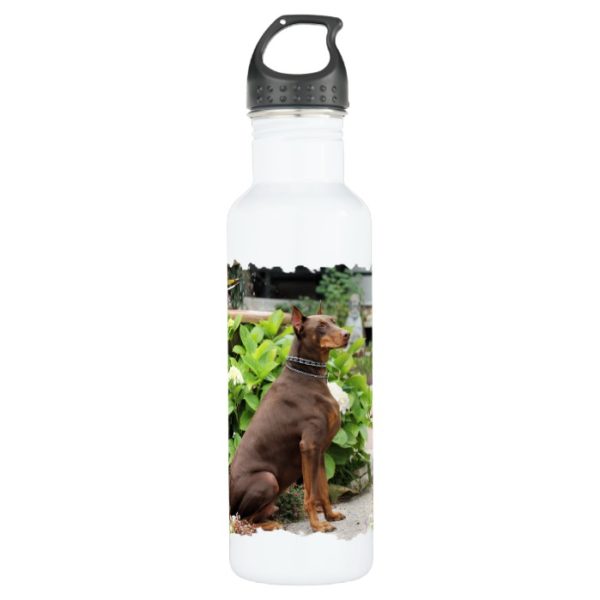 Doberman - In the Church Garden Stainless Steel Water Bottle