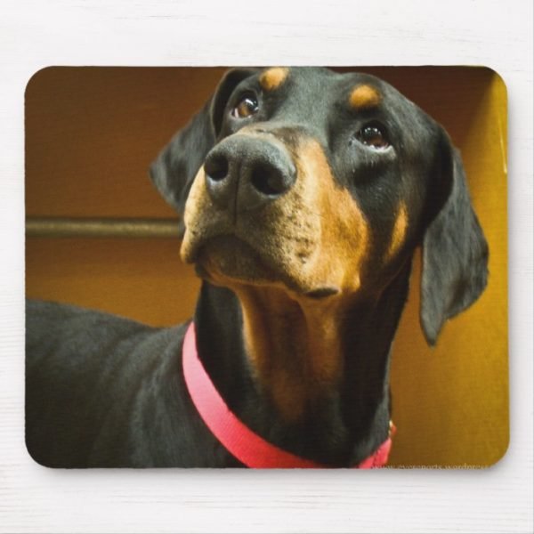 Doberman Mousepad