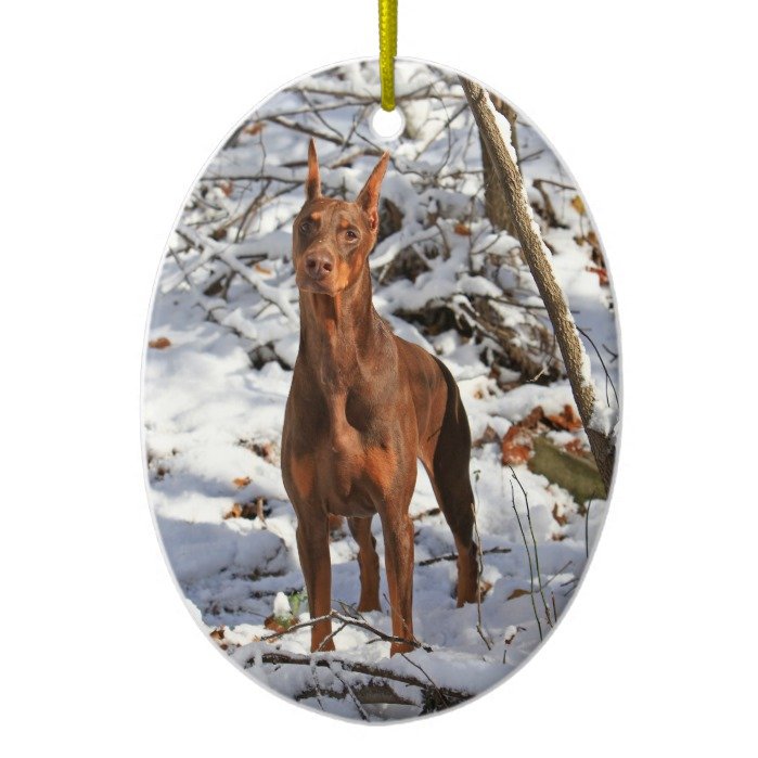 Doberman Pinscher in Snow Ornament