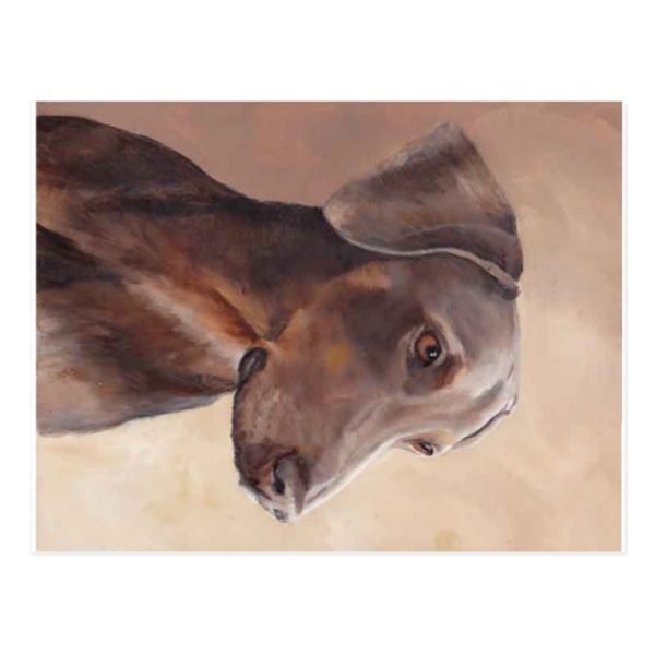 Doberman Pinscher Original Dog Art Postcard