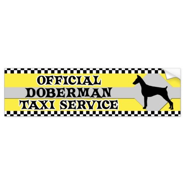 Doberman Pinscher Taxi Service Bumper Sticker