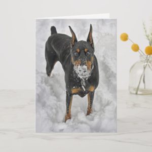 Doberman The Best Joys in Life are Free Thank You Card