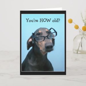 Dog birthday funny greeting card