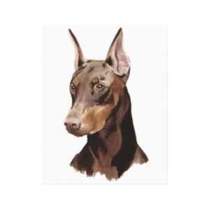 Dog Doberman! Beautifull portrait on canvas! Canvas Print