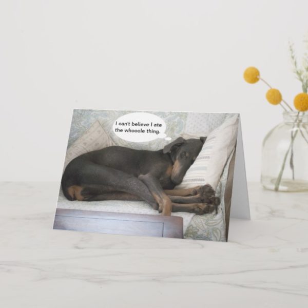 Dog funny get well card