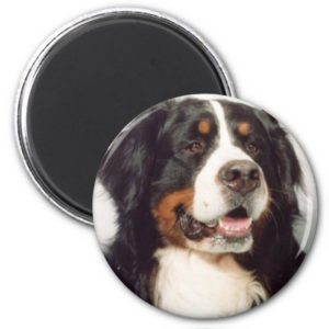 Dog Magnet