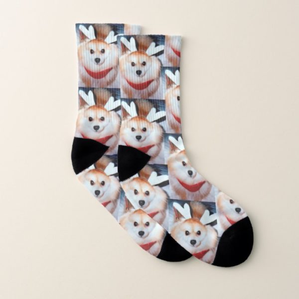 Dog Pet Photo Socks