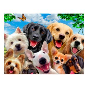 Dogs take group selfie postcard