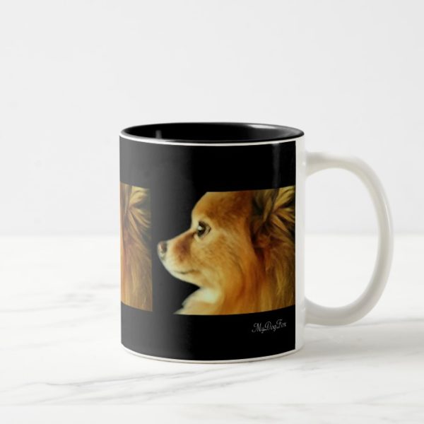 Eagle Eyed Pomeranian Two-Tone Coffee Mug