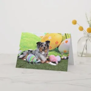 Easter - Australian Shepherd - Silas Barker Holiday Card