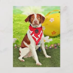 Easter - Brittany Spaniel - Elliott Holiday Postcard
